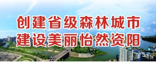 天堂资源在线yazhou创建省级森林城市 建设美丽怡然资阳